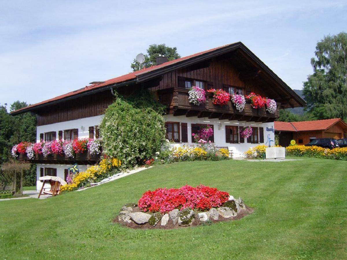 Ferienwohnungen Baur Arnbruck Ngoại thất bức ảnh